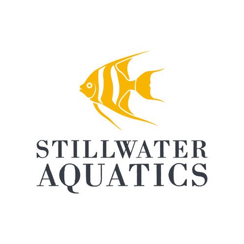 Stillwater Aquatics