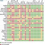 Freshwater Compatibility Chart