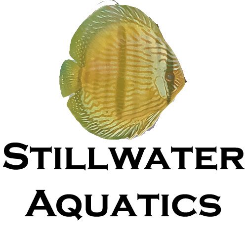 Stillwater Aquatics